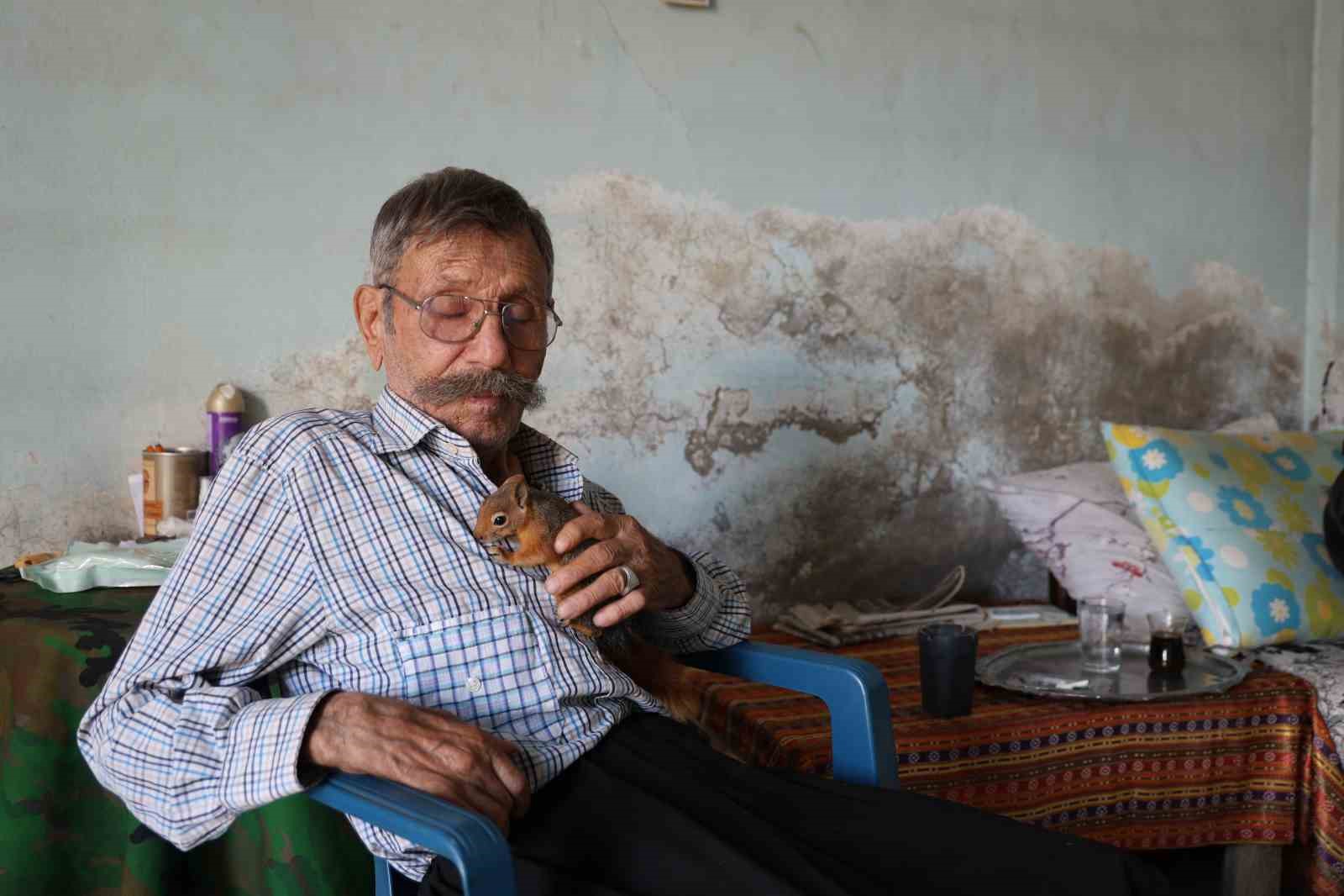 Yalnız kalmıştı, yavruyken kurtardığı ’sincap’ dostu oldu