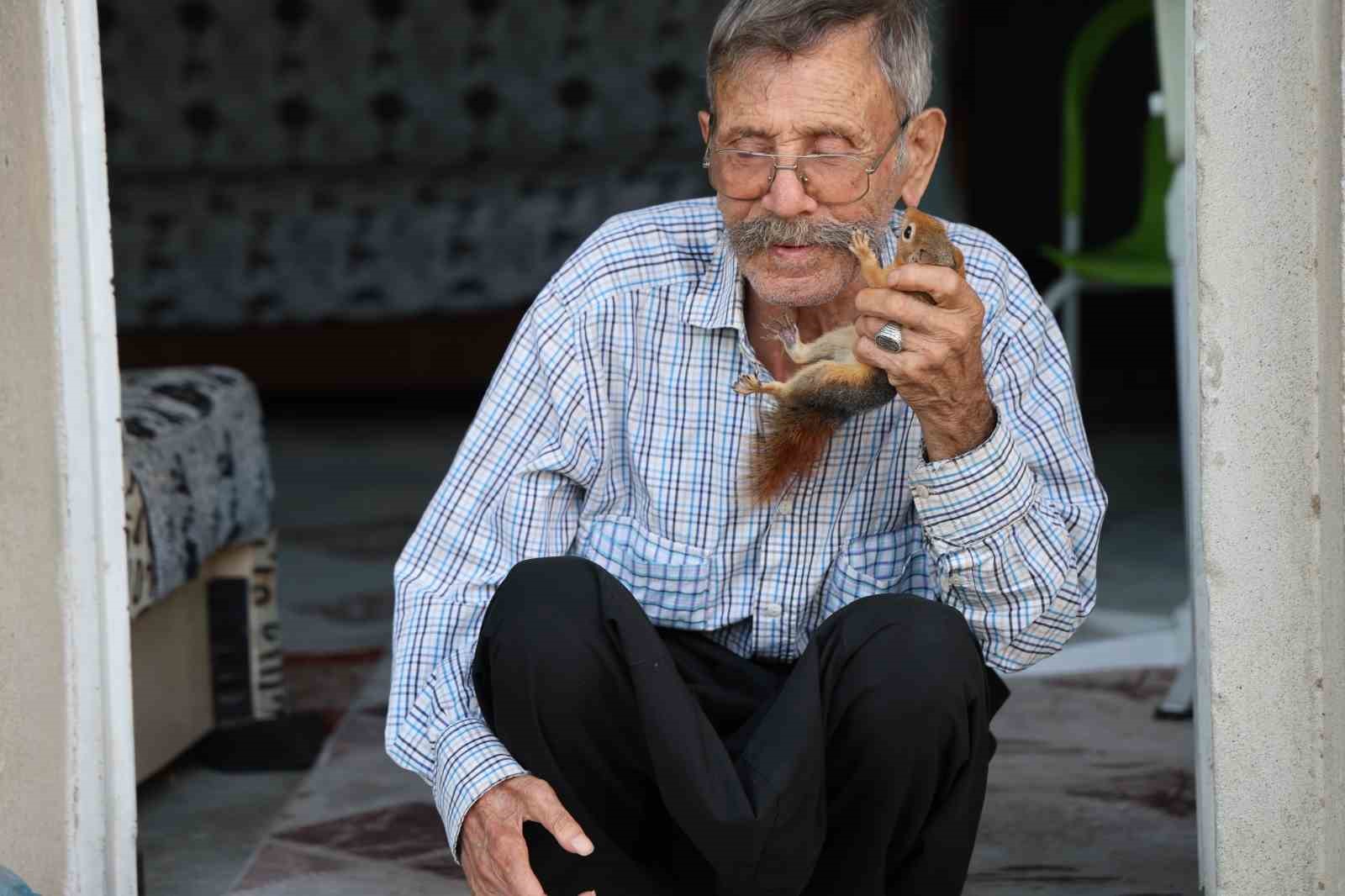 Yalnız kalmıştı, yavruyken kurtardığı &rsquo;sincap&rsquo; dostu oldu
