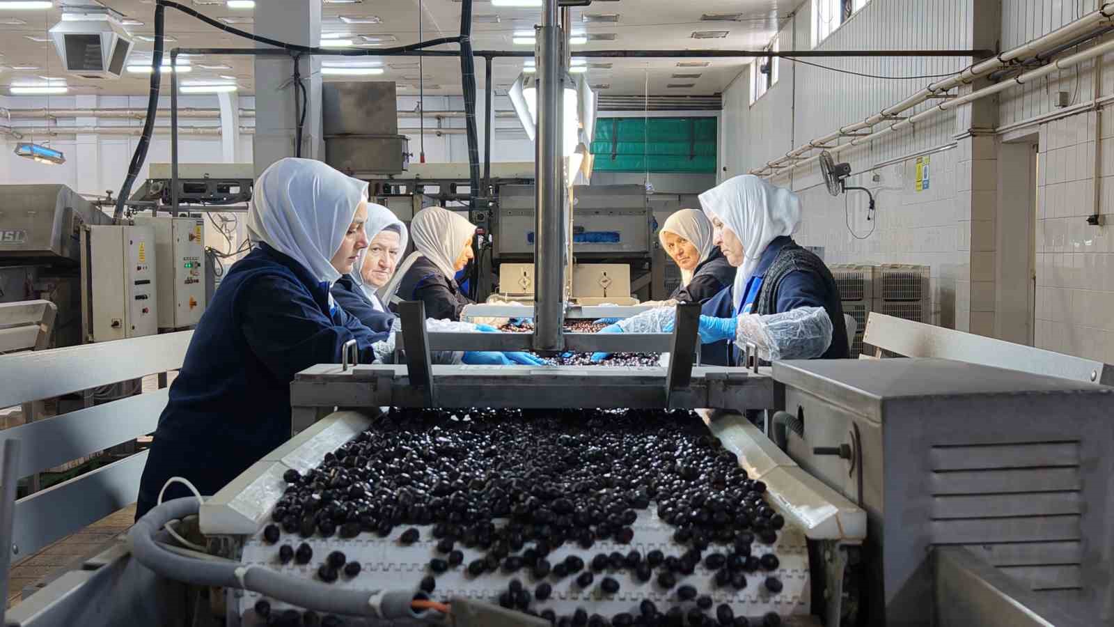 Marmarabirlik vites b&uuml;y&uuml;tt&uuml; kozmetik ve &ccedil;ikolata sekt&ouml;r&uuml;ne de giriyor
