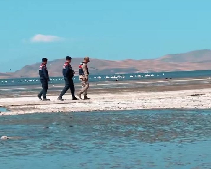 Erçek Gölü’nde jandarmadan flamingo nöbeti