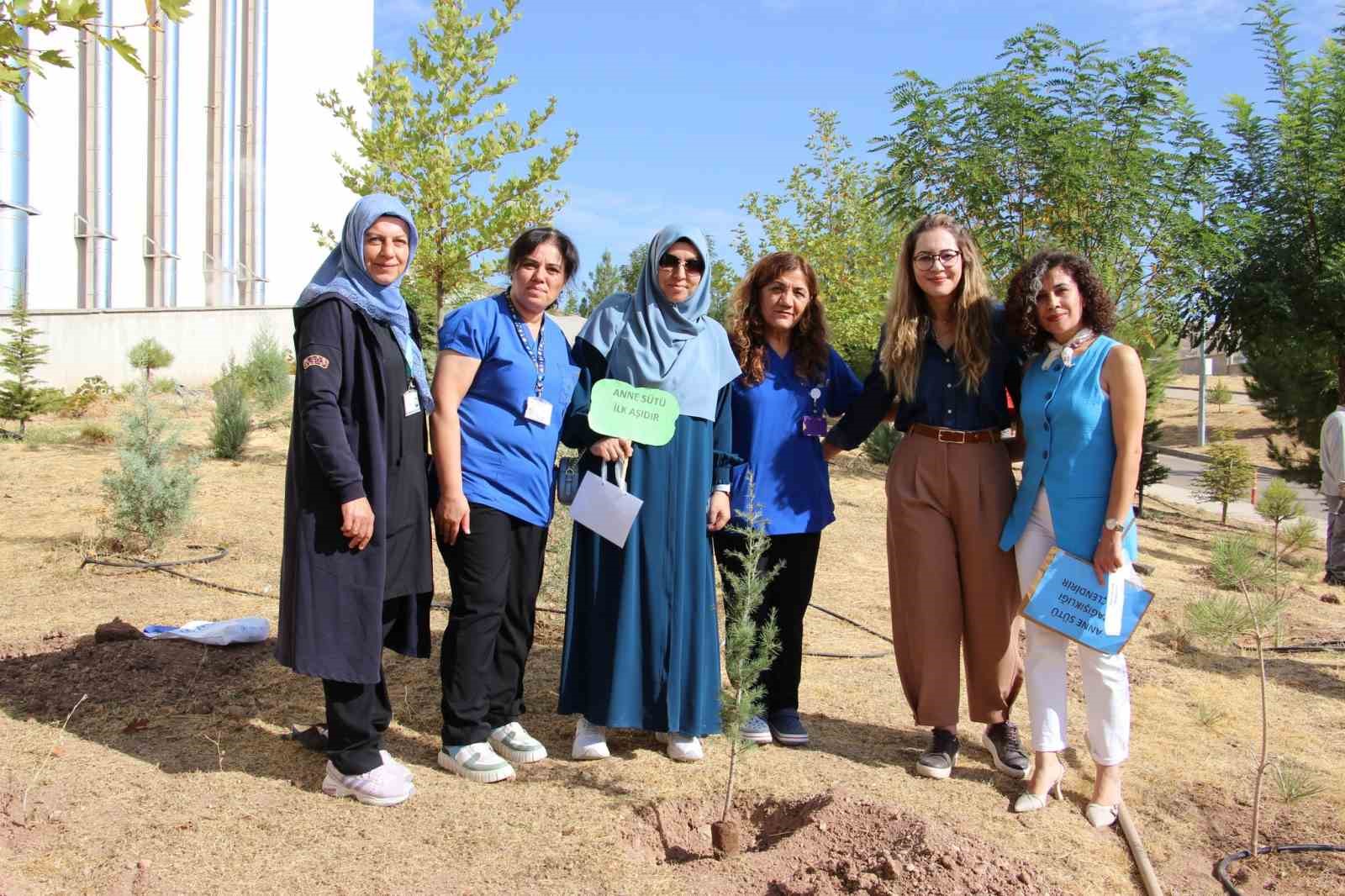 Elazığ’da fidan dikimi yapıldı