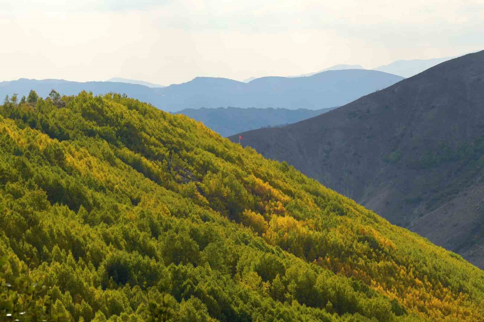 Gümüşhane’de sonbahar renkleri kendini göstermeye başladı
