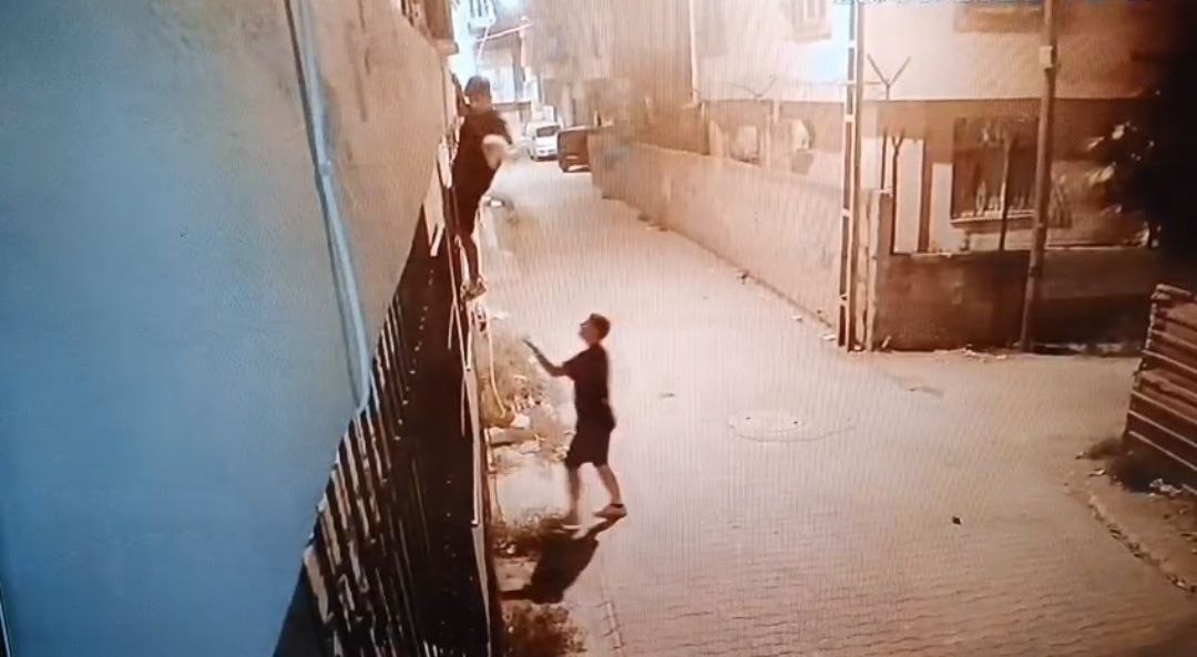 Kediyi çalıp fotoğraf çekindiler: O anlar kameraya yansıdı