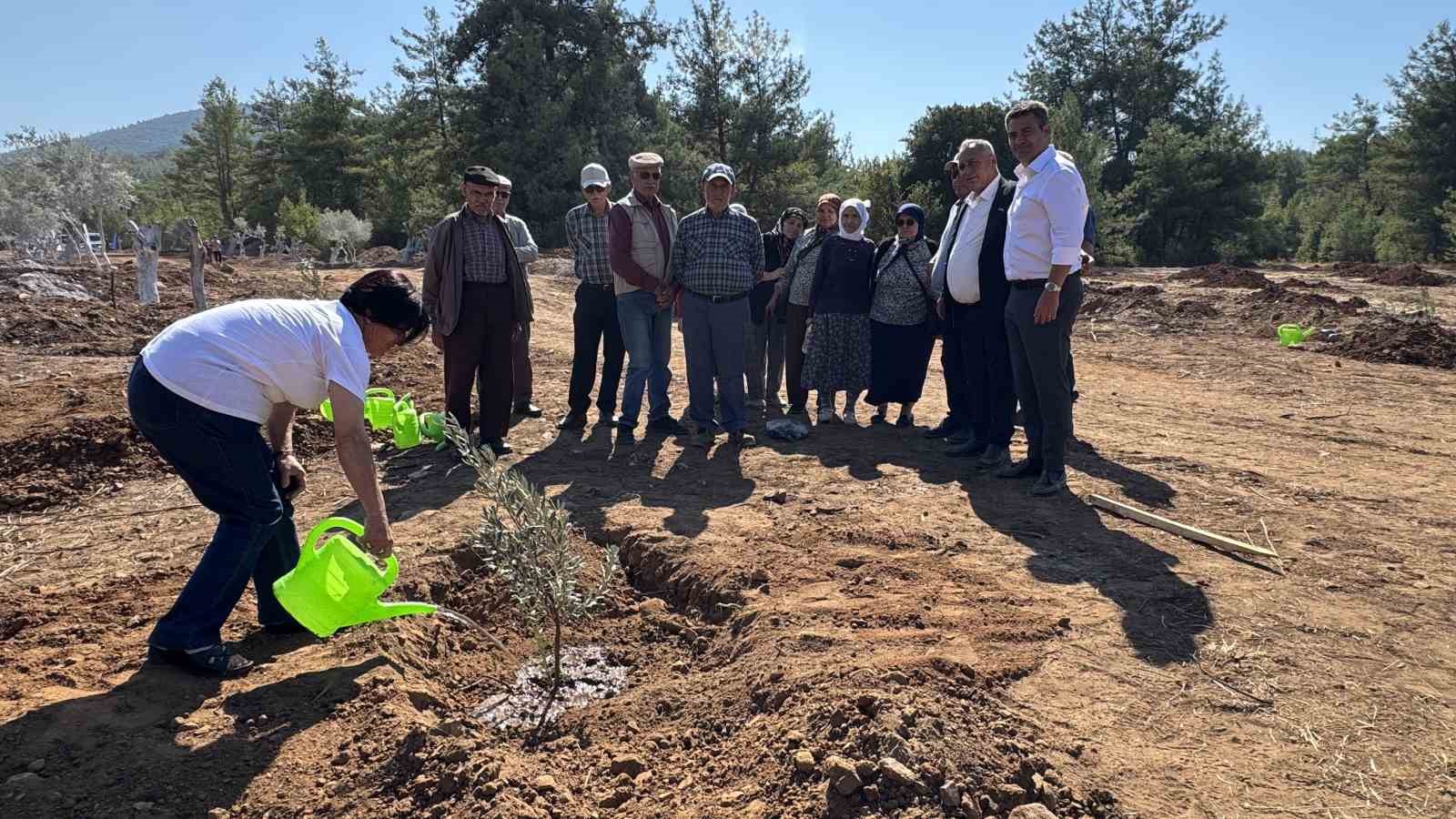 İlkokul öğrencileri 300 zeytin fidanını toprakla buluşturdu
