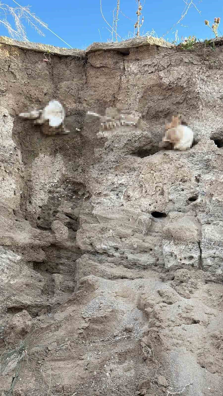 Boğazlıyan’da bulunan insan kemikleri incelemeye alındı