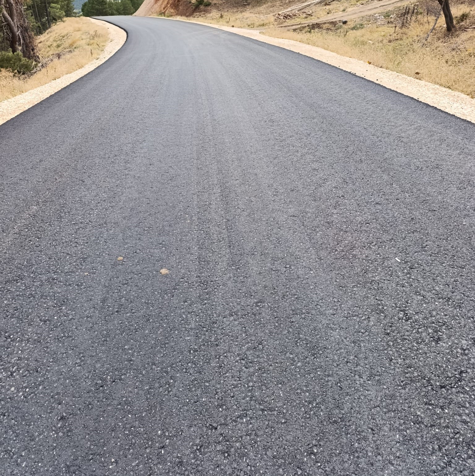 Gediz&rsquo;in Arıca k&ouml;y&uuml;nde yıllardır beklenen yol tamamlandı
