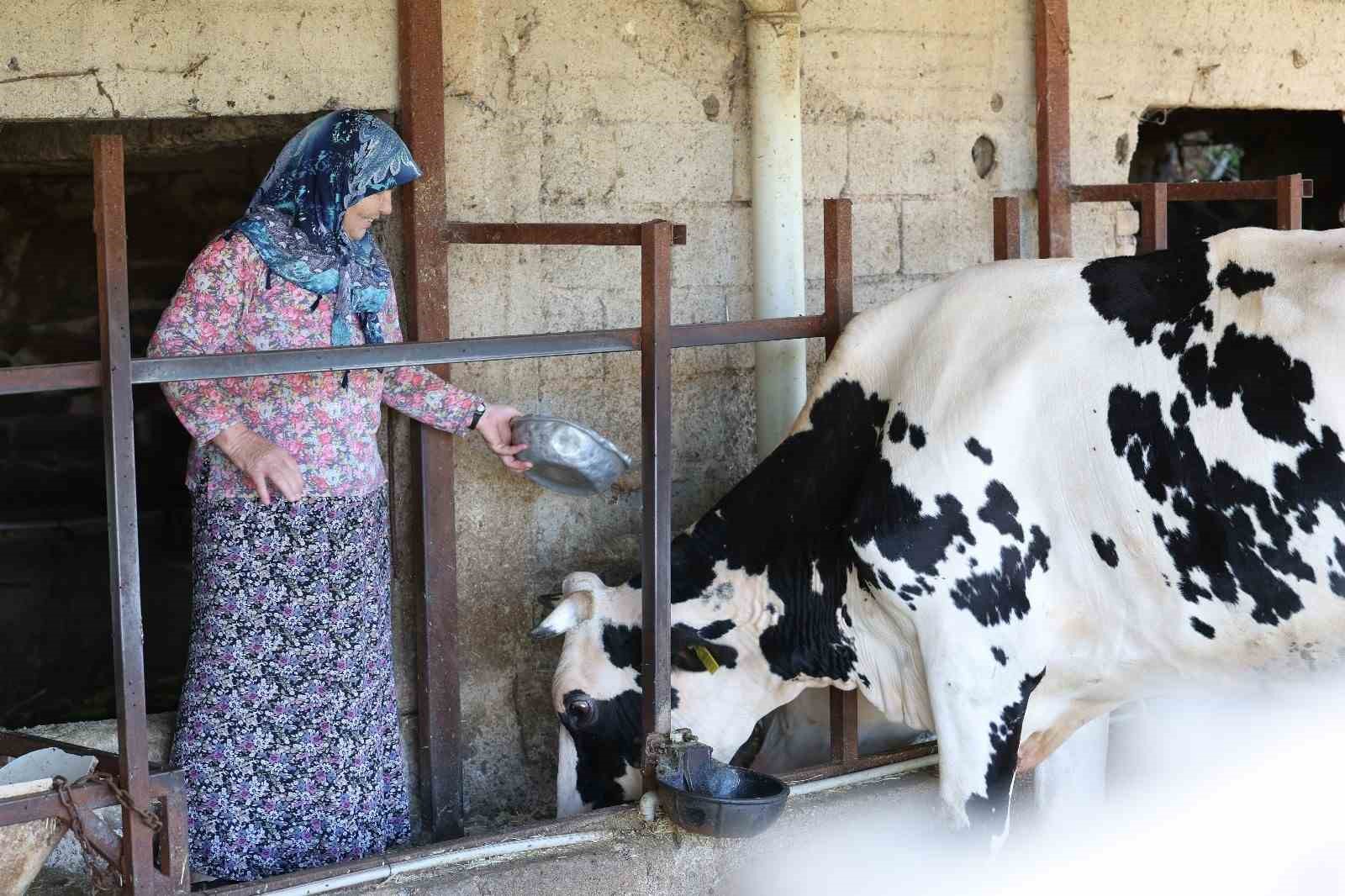 Yeşilyayla’da yarım asırlık tapu hasreti sona erdi
