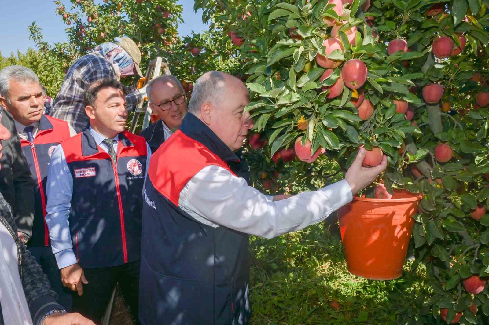Ege&rsquo;nin elma deposu Denizli&rsquo;de &uuml;reticinin y&uuml;z&uuml; g&uuml;l&uuml;yor
