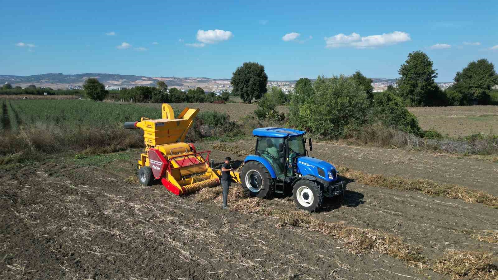 İnegöl&rsquo;ün cerrah kuru fasulyesinde hasat zamanı