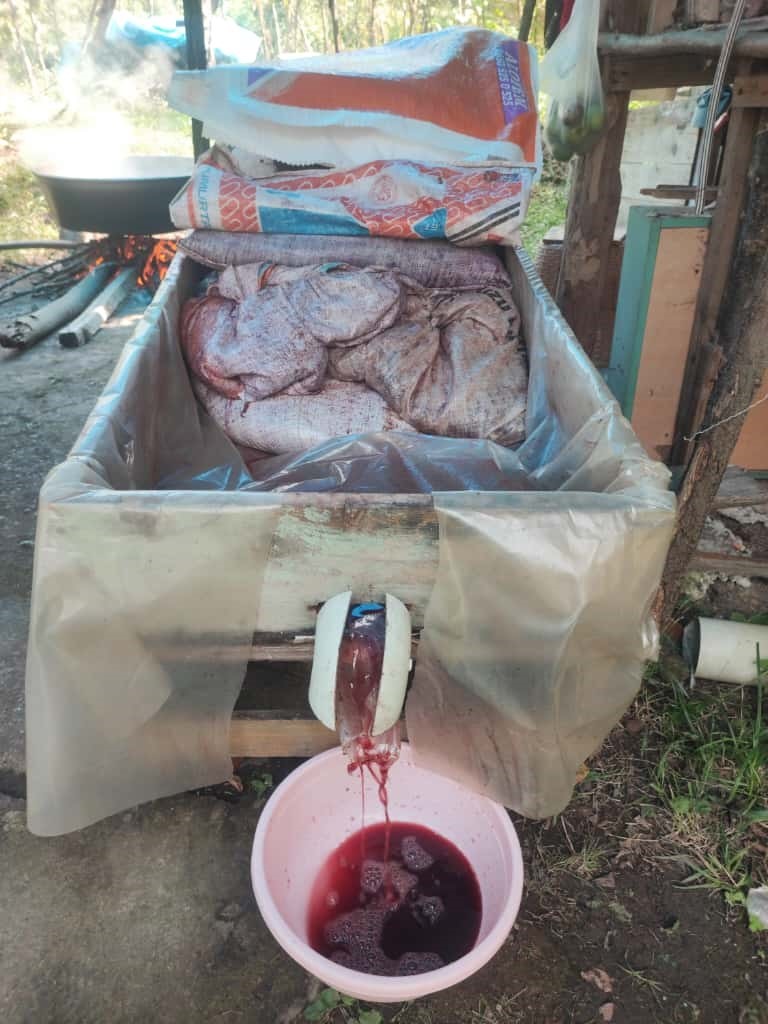 Giresun’da geleneksel kokulu üzüm pekmezi kazanları kaynadı
