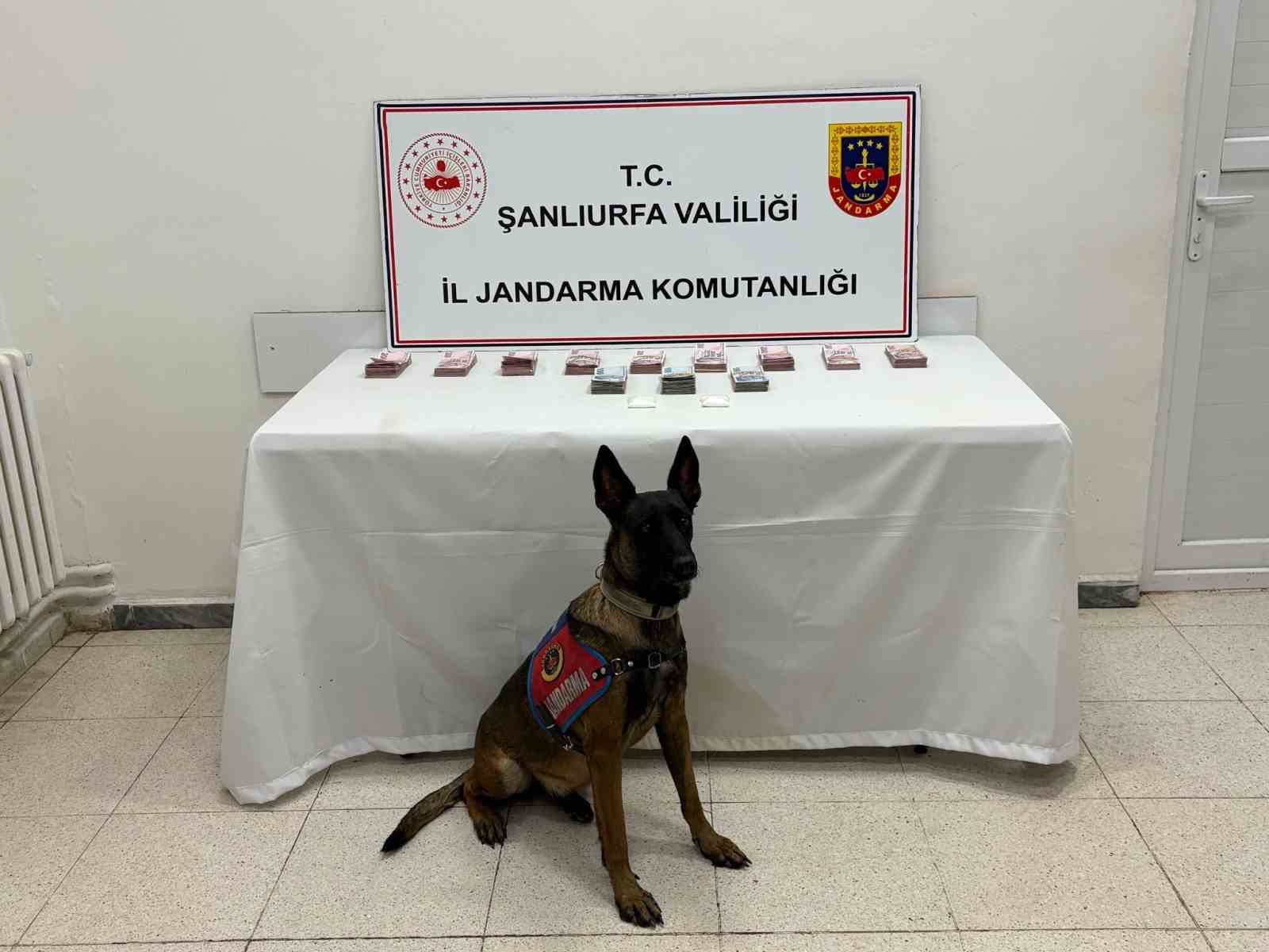 Şanlıurfa’da 210 bin TL ile uyuşturucu madde ele geçirildi