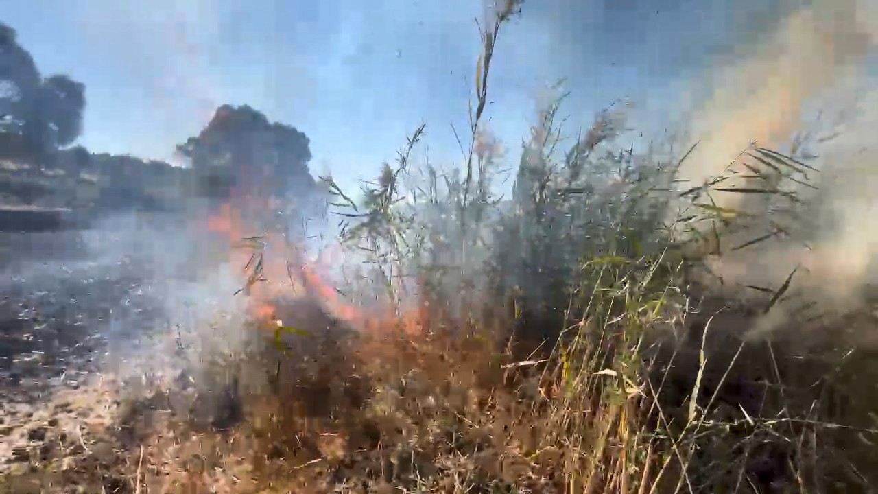 Elazığ&rsquo;da otluk alanda yangın
