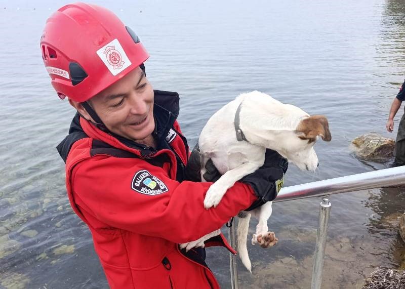 Deniz kenarında sıkışan k&ouml;pek i&ccedil;in kurtarma operasyonu
