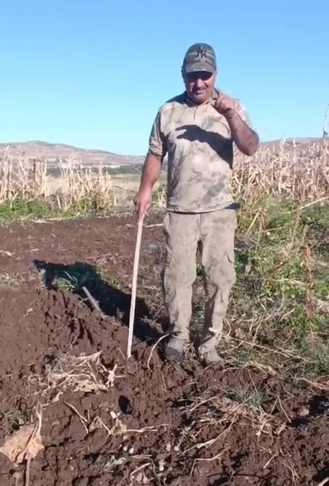 Çiftçiden bahçesini talan eden domuza tebessüm ettiren tepki: "Benden uzak durmadığın müddetçe kalemini kıracağım"