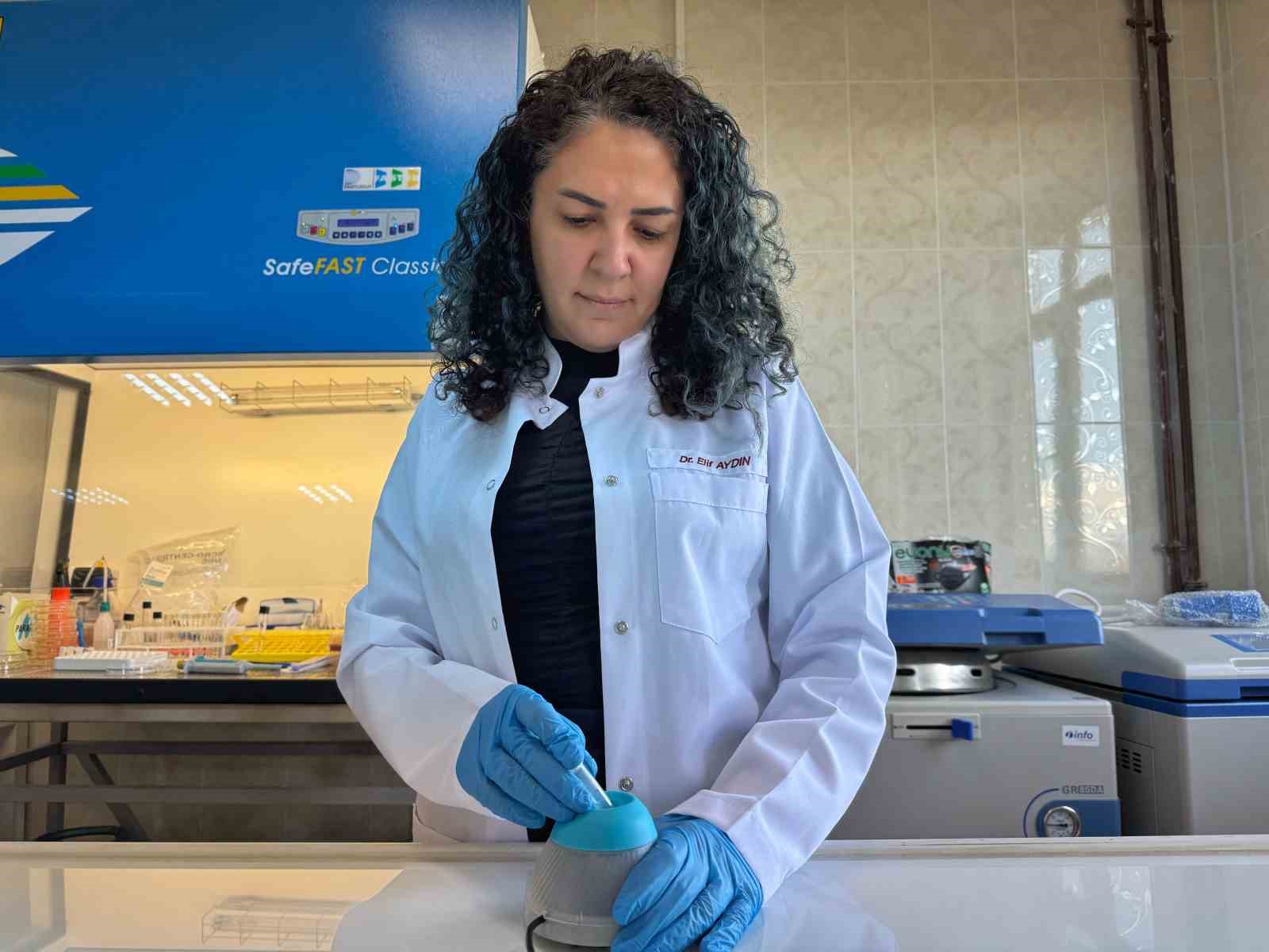 Diyabet yaralarına &ccedil;&ouml;z&uuml;m olacak bor destekli proje
