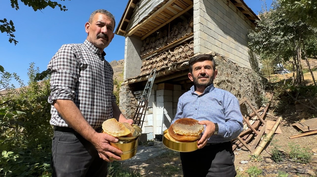Hakkari dağlarında bal hasadı başladı