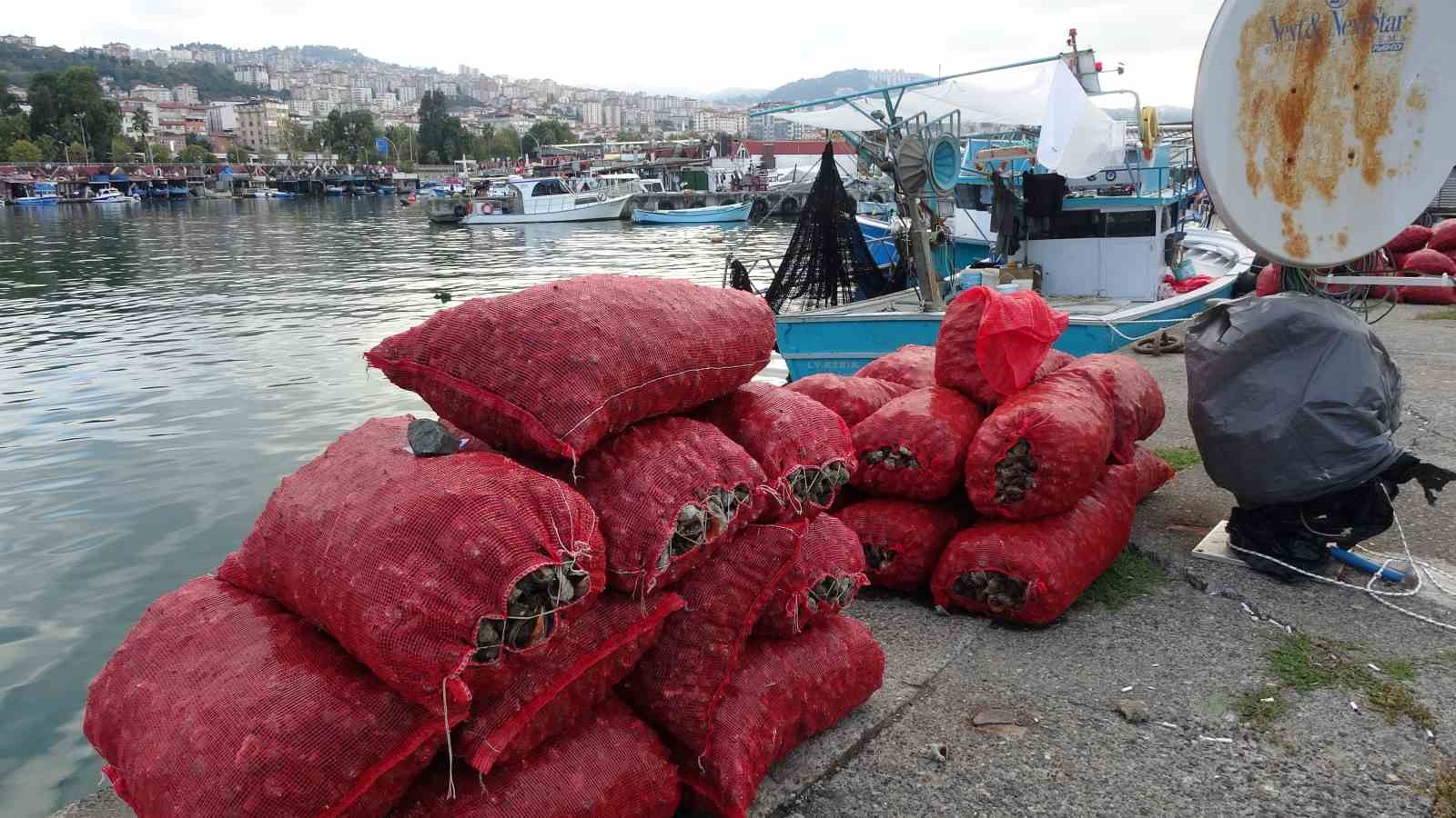 Palamut gibi onun da avı balıkçıları hüsrana uğrattı