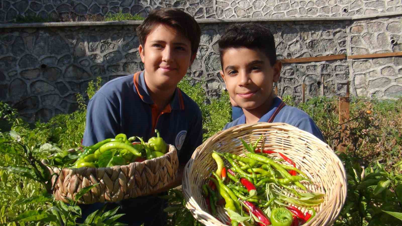 Minik eller, turşuyla büyük işlere imza atıyor