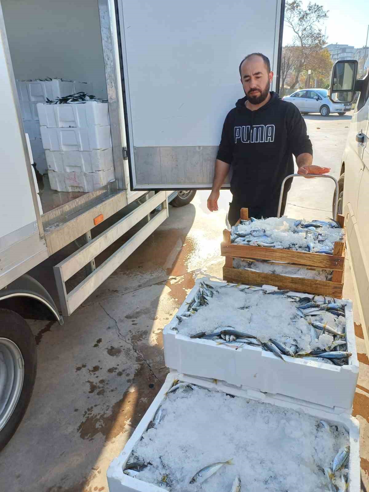 Yasal boy sınırlarının altında avlanılan lüfer ve istavritlere el konuldu