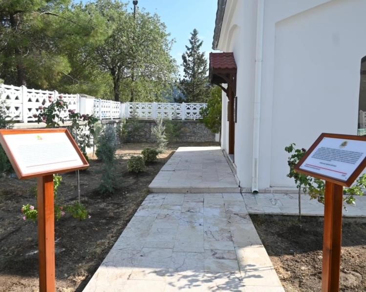 Asırlık türbede bakım ve çevre düzenlemesi