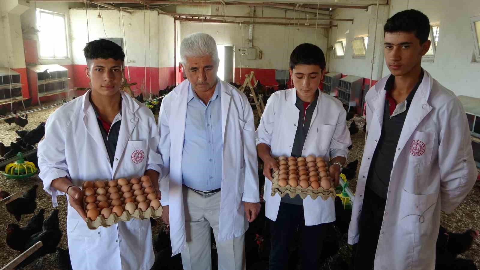 &Ccedil;iftlik gibi okul
