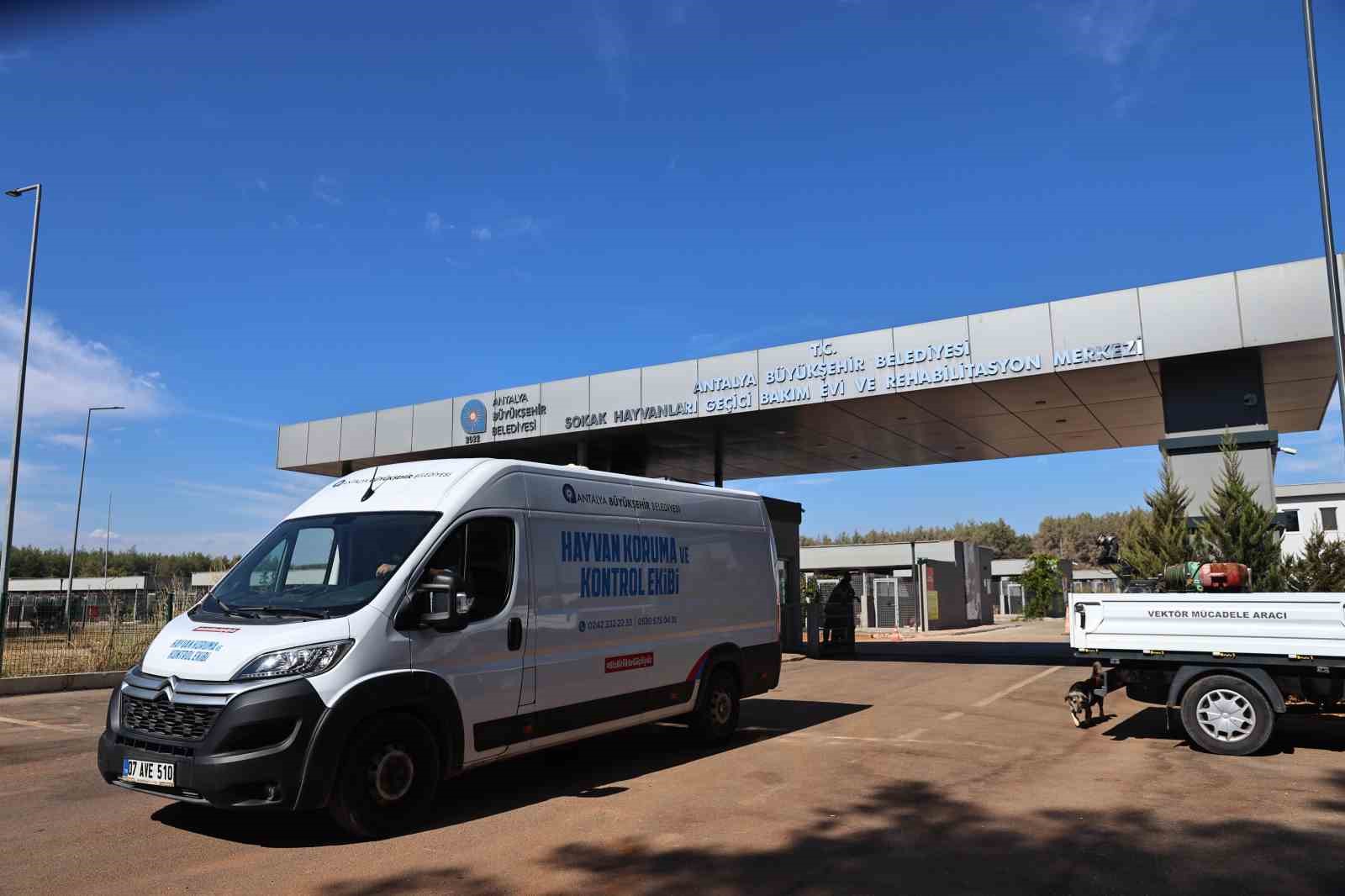 Antalya&rsquo;da sokak hayvanlarına 7/24 bakım ve rehabilitasyon
