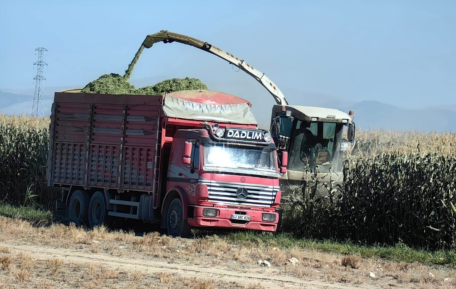 Karapınar’da mısır hasadı başladı