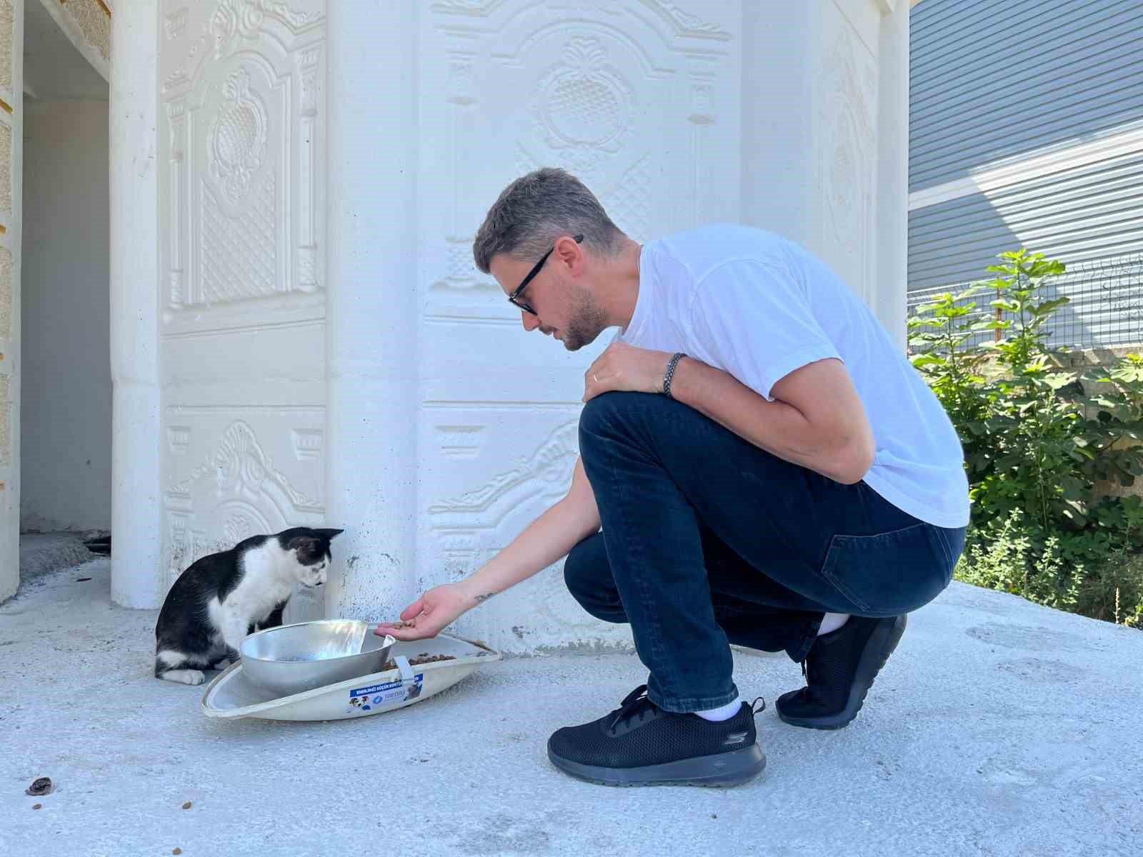 Binlerce leylek yuvası, yüzlerce mama kabı: Doğa dostu projeler