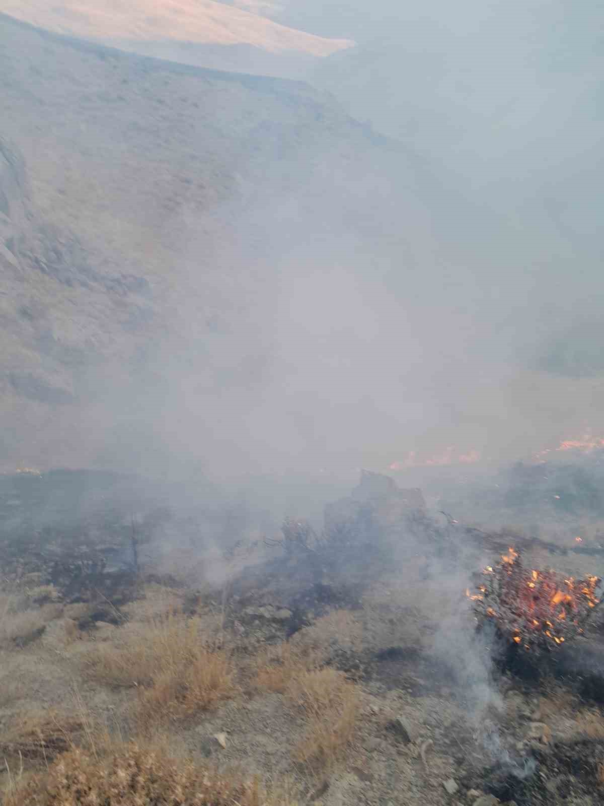 Başkale’de anız yangını