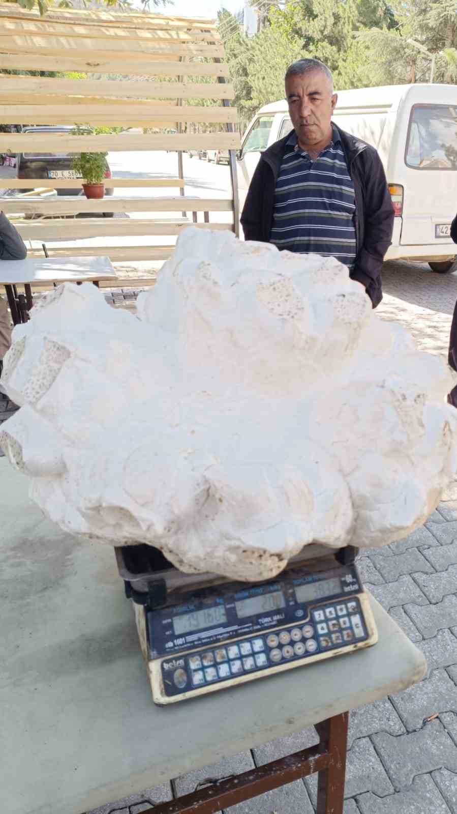 Konya&rsquo;da 19 kiloluk dev mantar bulundu
