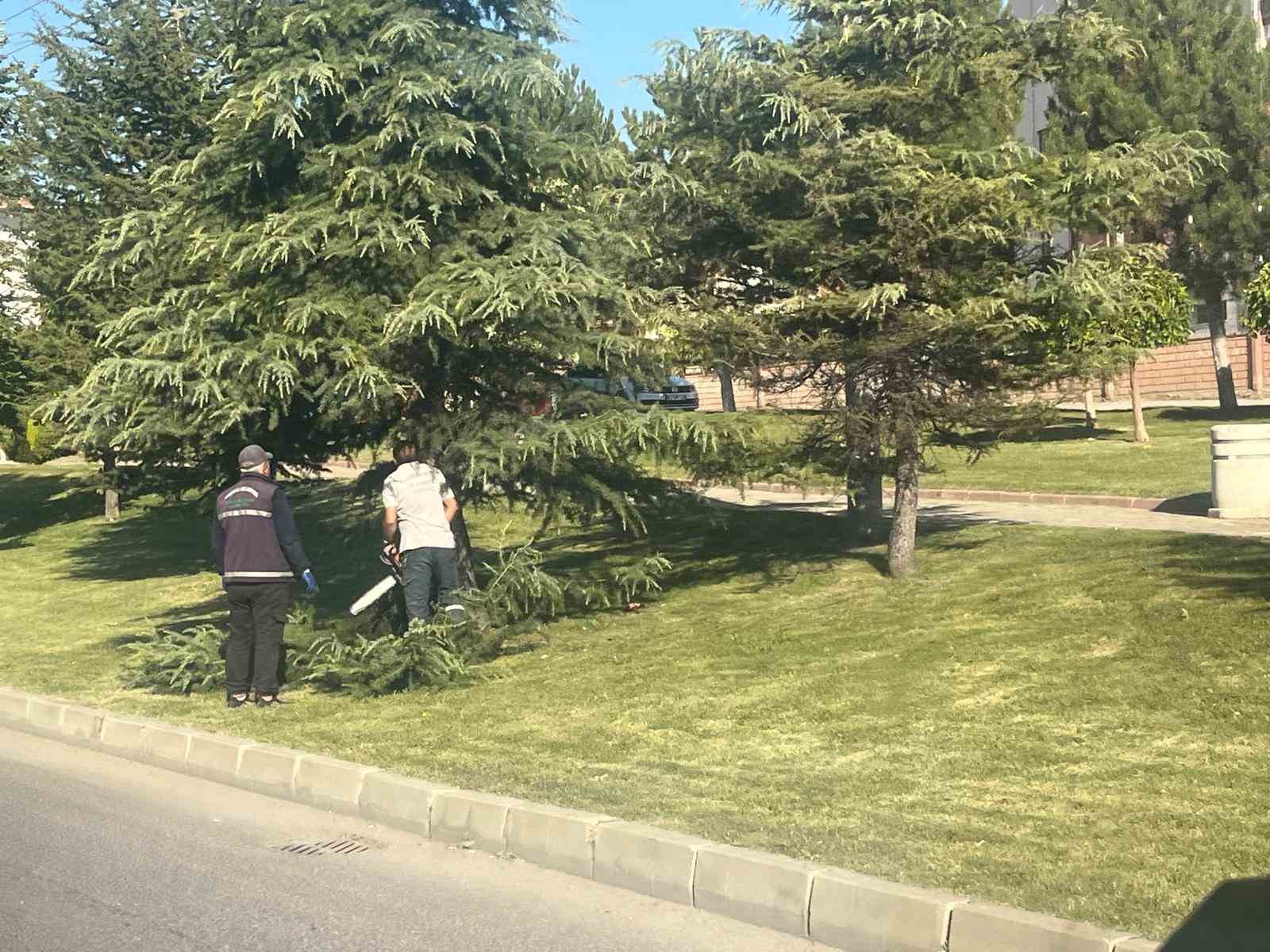 Tavşanlı &Ccedil;evre Yolu, yapılan bakım ile g&uuml;zelleşti
