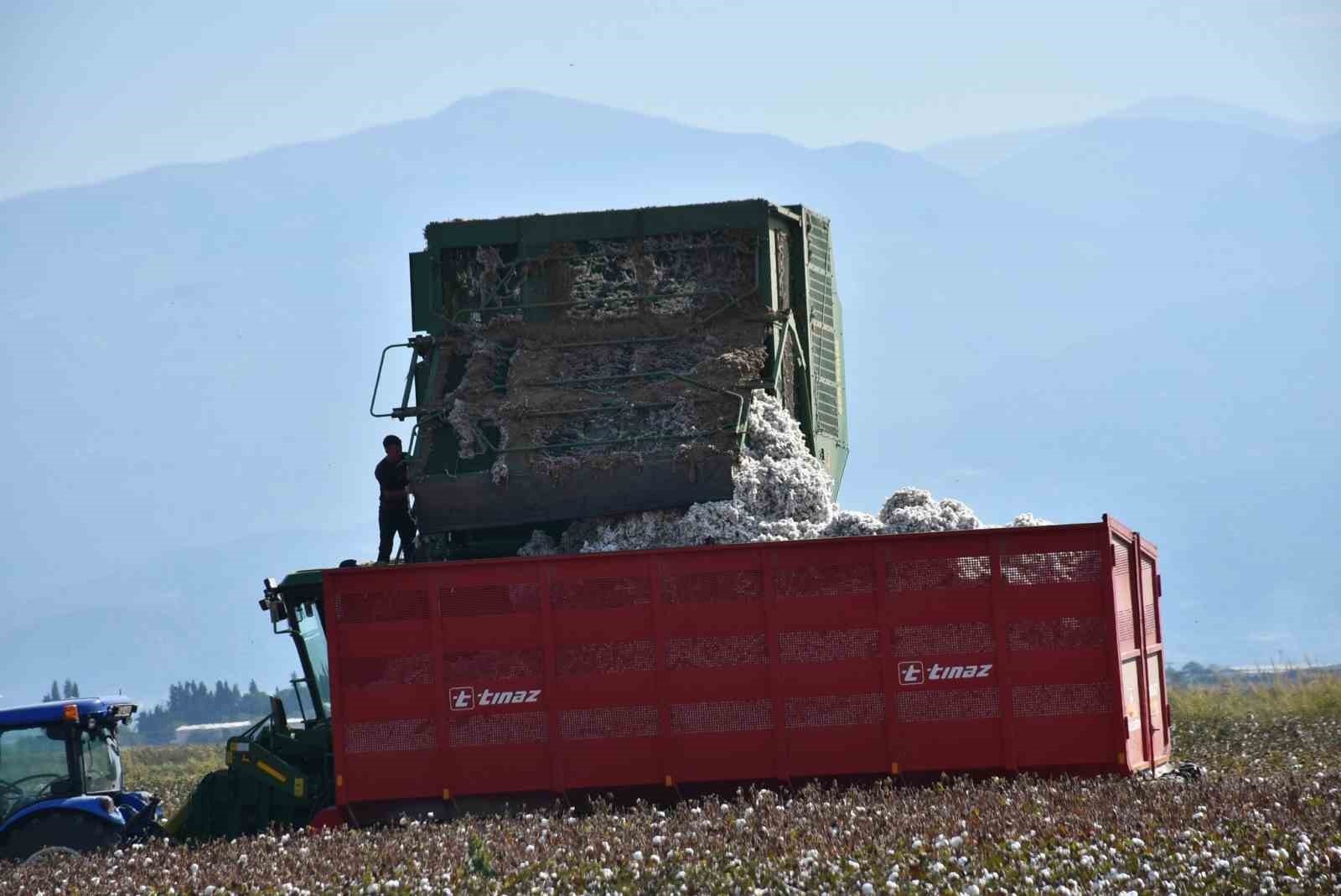Salihli Ovası&rsquo;nın &lsquo;Beyaz Altın&rsquo;ında ilk hasat
