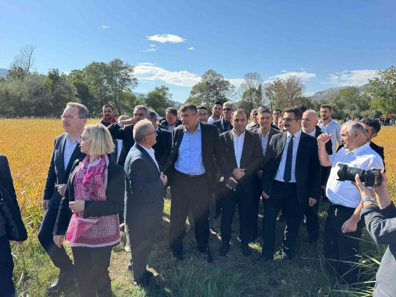 TAKE projesi kapsamında ekilen çeltiğin hasadına başlandı
