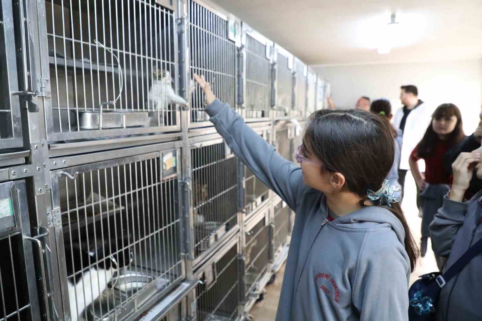 Gaziosmanpaşa’da Dünya Hayvanları Koruma Günü’ne özel etkinlik