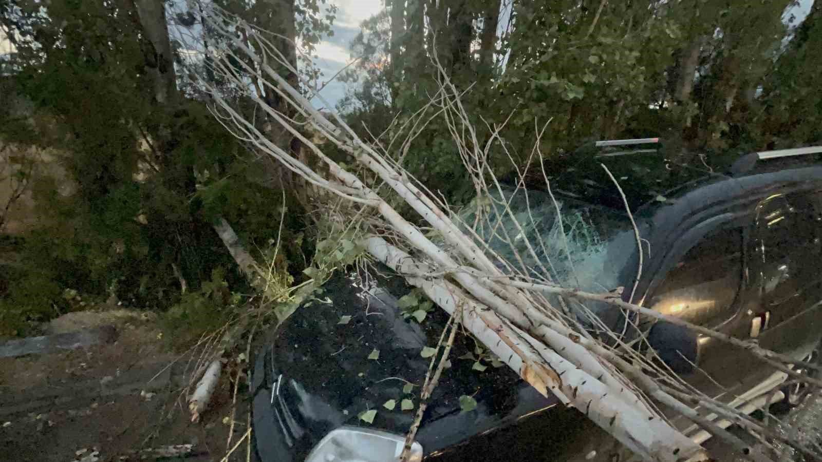 Üzerine ağaç dalı düşen araç kullanılamaz hale geldi