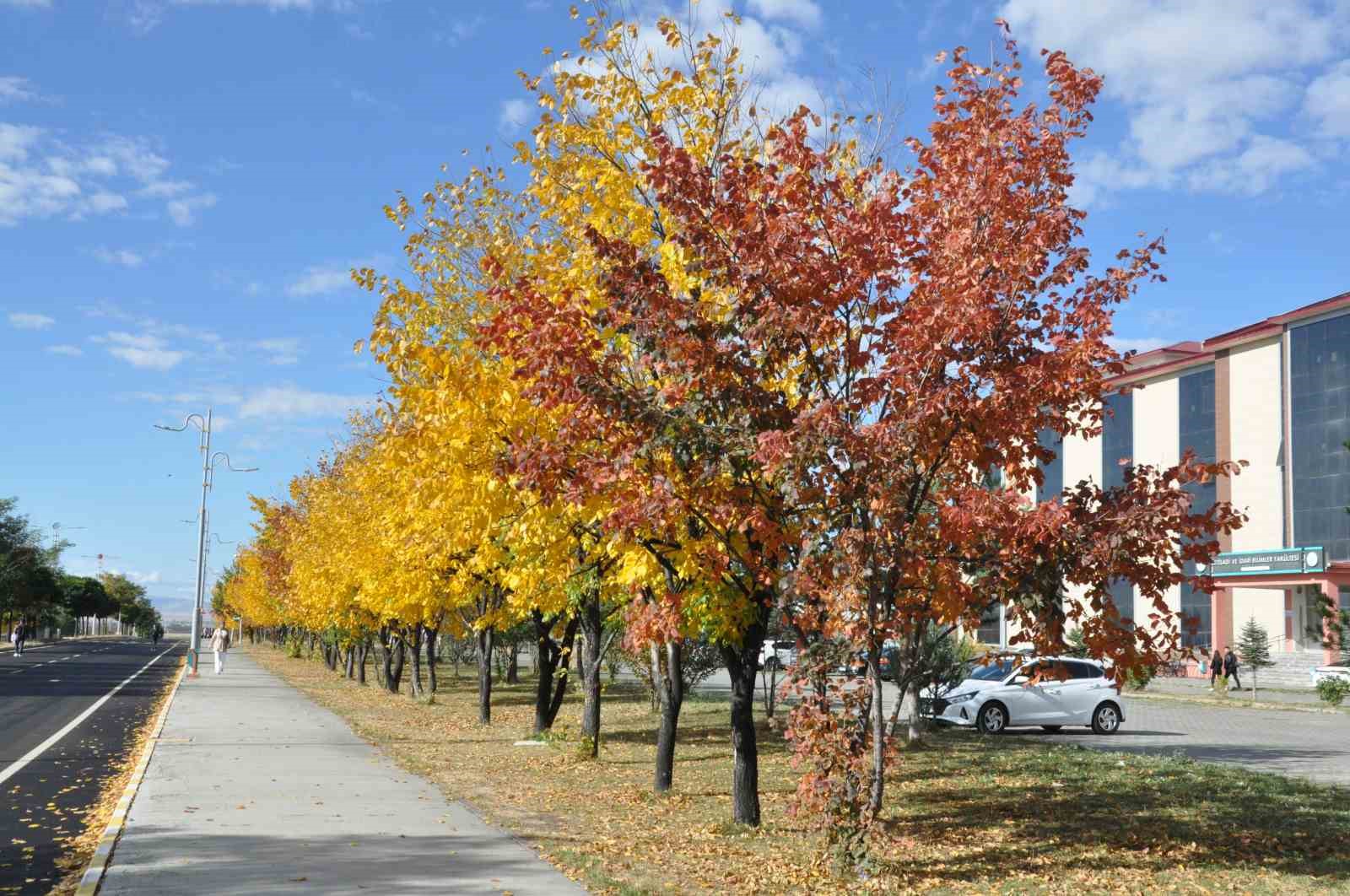 Kars’ta renk tonuna bürünen ağaçlar büyüledi