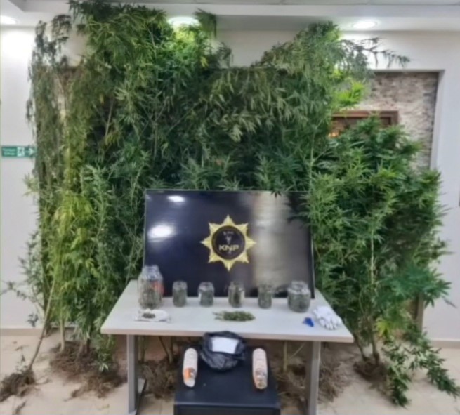 Kırklareli’nde uyuşturucu operasyonu: 2 gözaltı