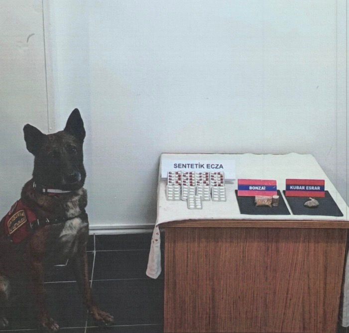 Bolu’da şüpheli araçta uyuşturucu maddeler ele geçirildi: 1 gözaltı