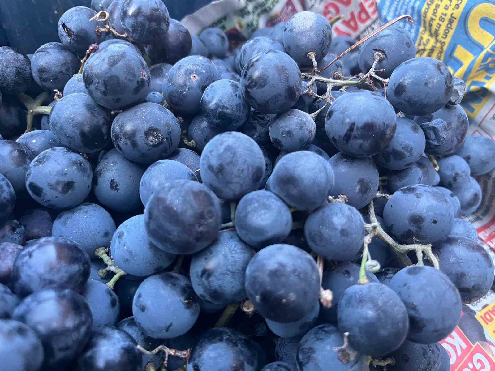 Alaşehir’in üzümleri Tavşanlı semt pazarında