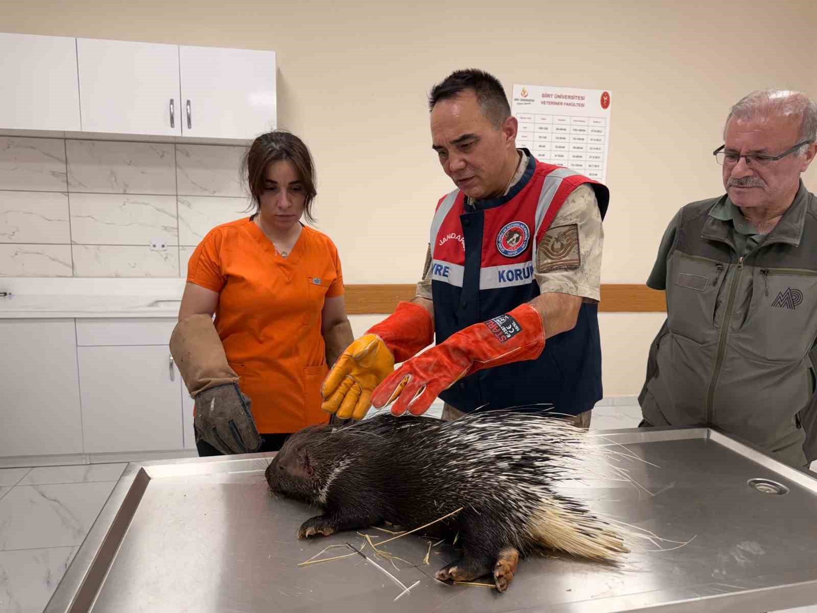 Siirt jandarmasından doğa dostu çalışmalar