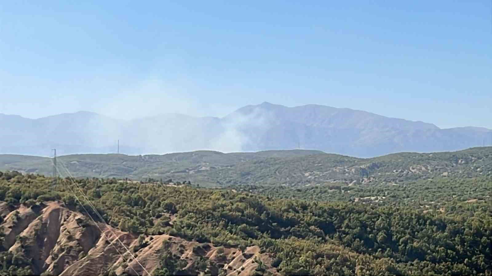 Bing&ouml;l&rsquo;deki orman yangını kontrol altına alındı
