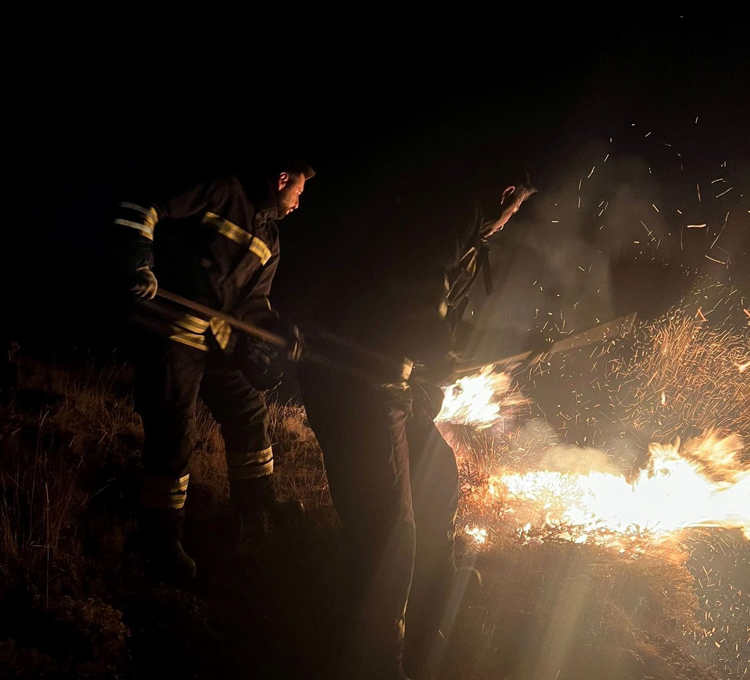 Erzincan’da örtü yangını söndürüldü