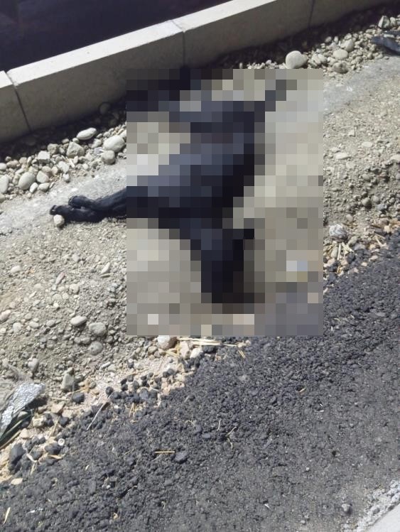 Batman’da zincirleme trafik kazası: 7 yaralı

