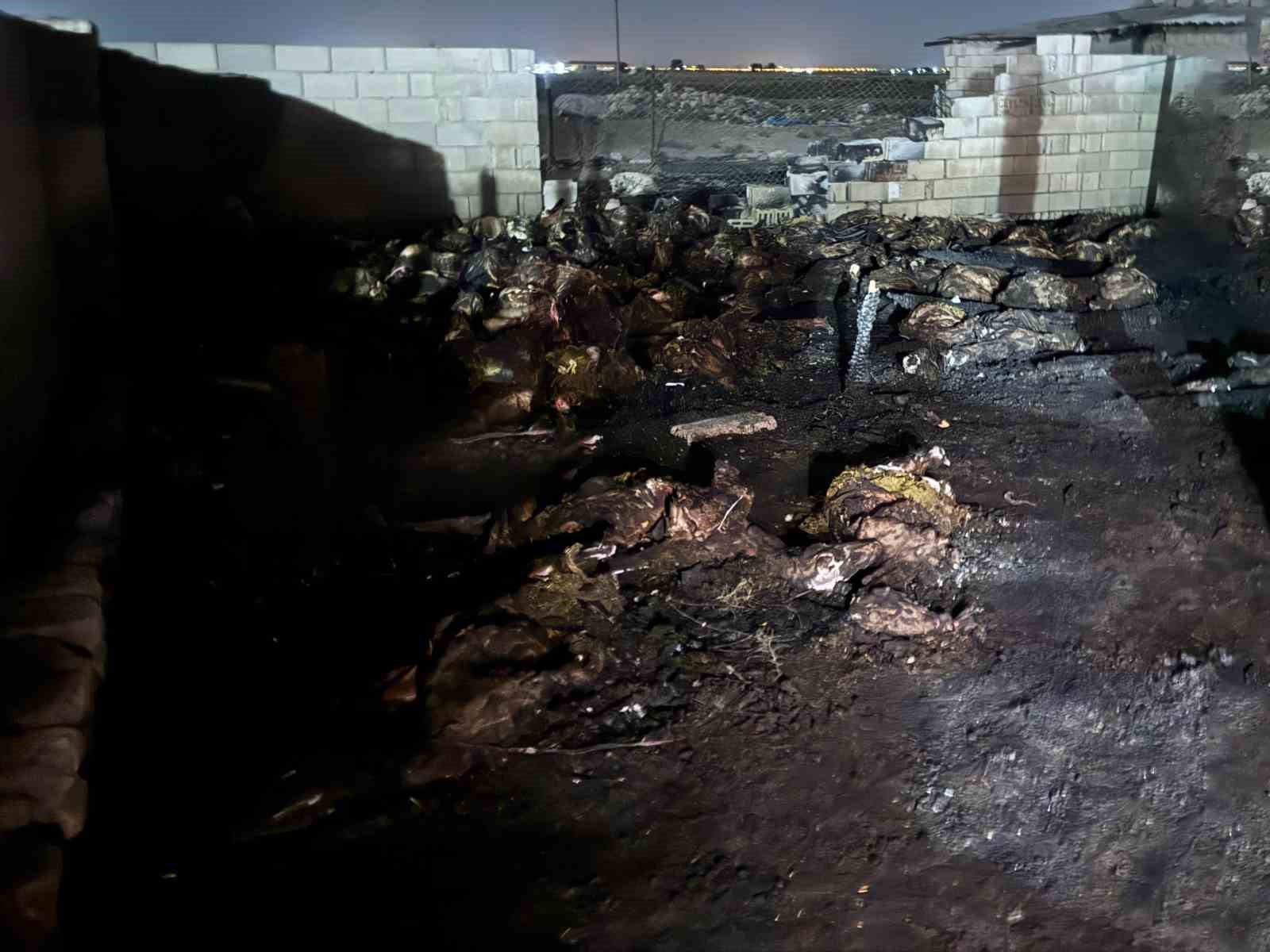 Niğde’de ahır yangını: 170 koyun telef oldu