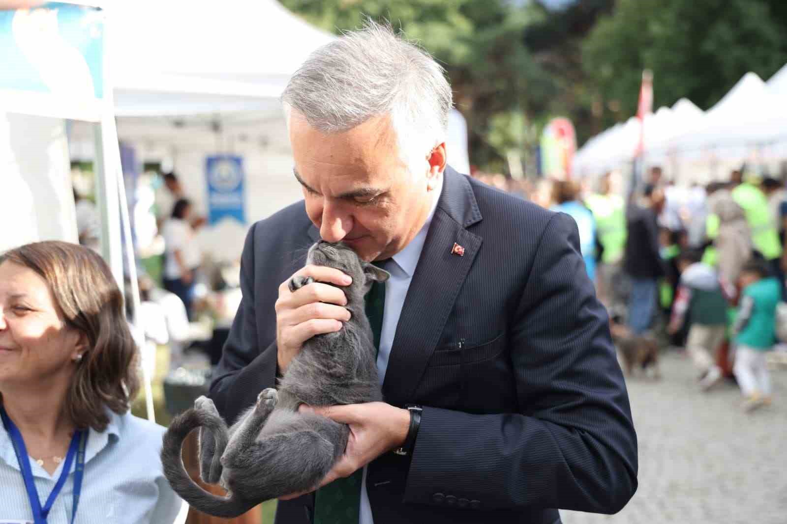 Can dostlar yeni yuvalarına kavuştu