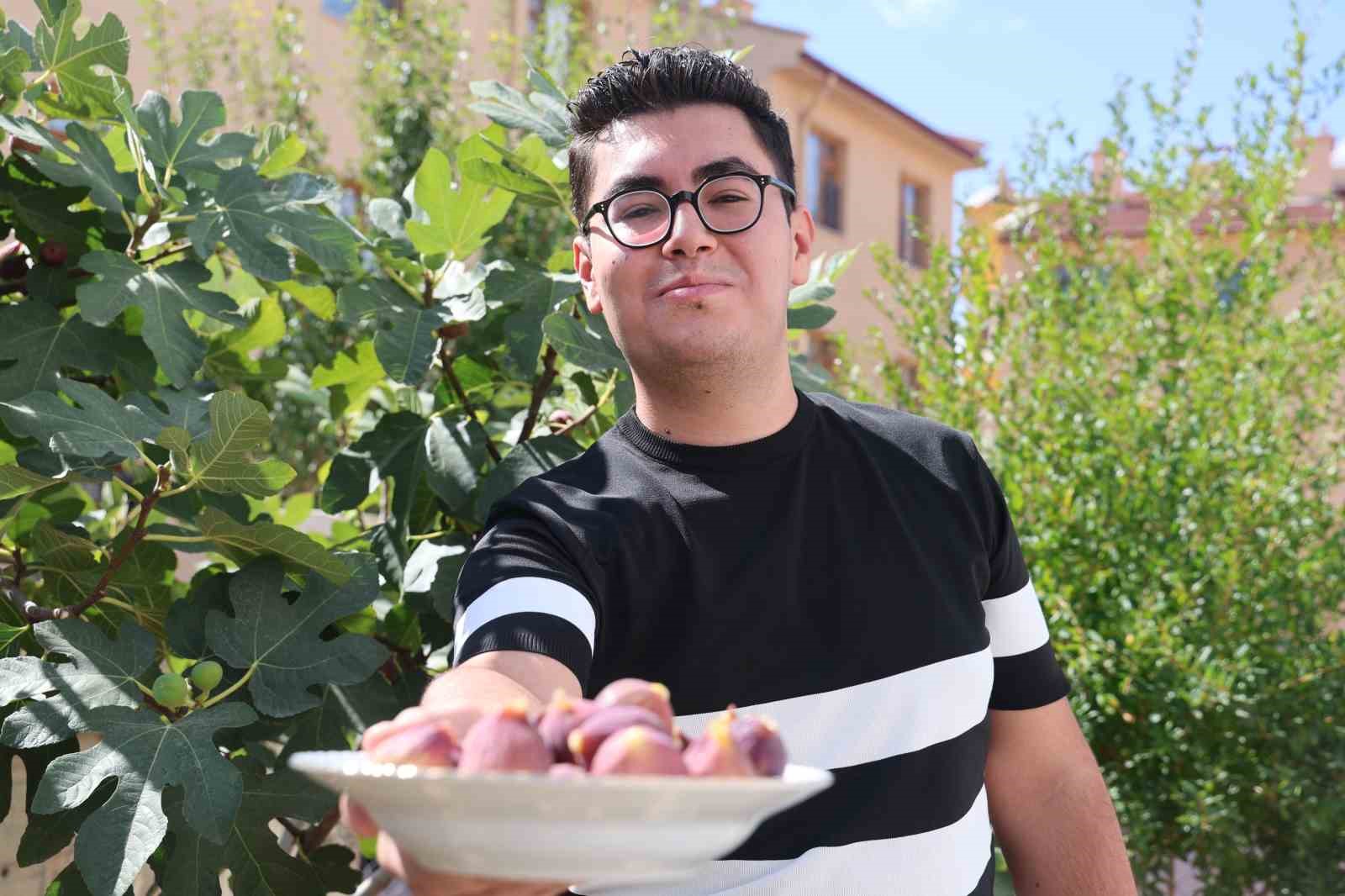 Konya&rsquo;da yetişmesi zor bilinen inciri apartman bah&ccedil;esinde yetiştirdi
