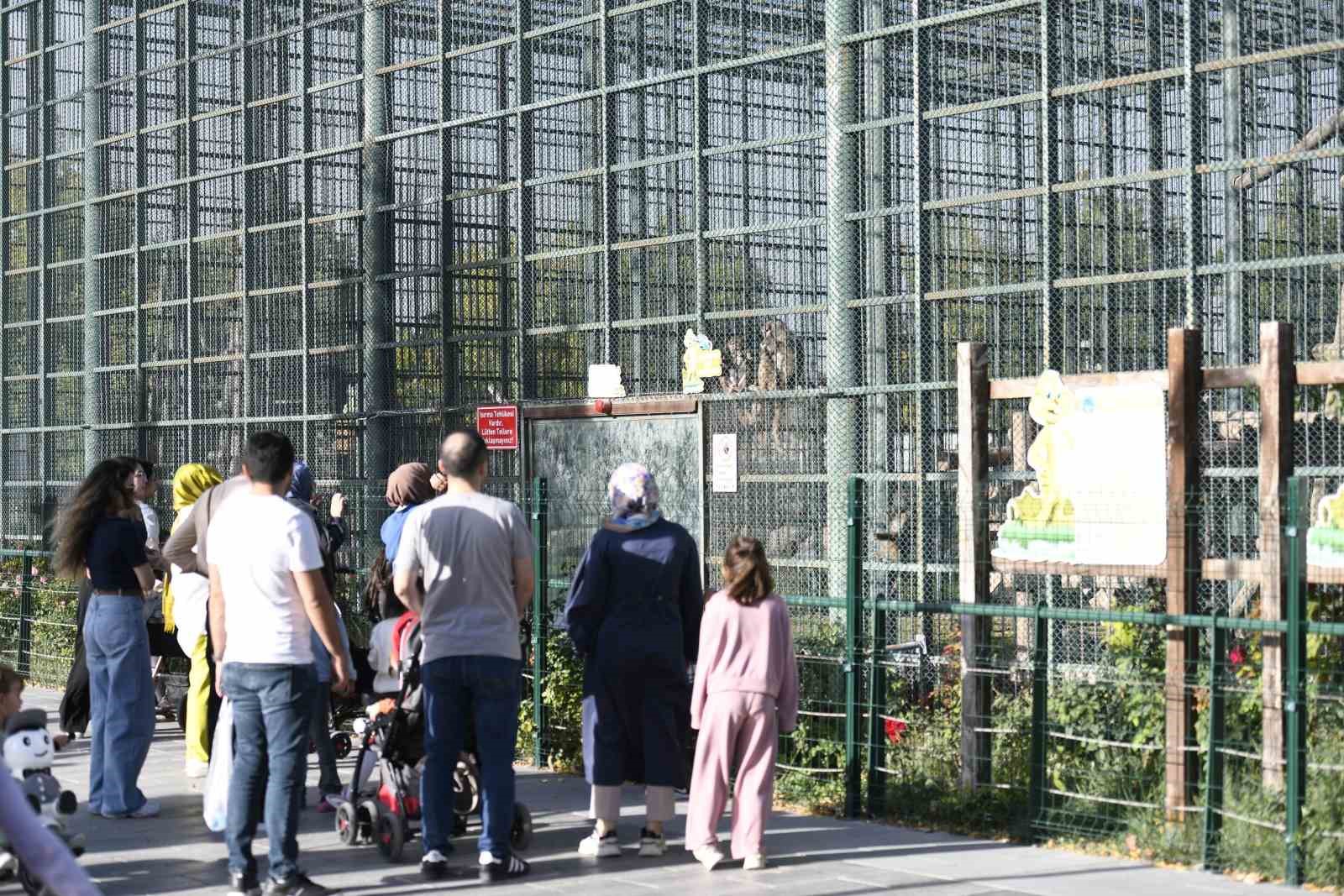 Ücretsiz olan hayvanat bahçesine ziyaretçi akını