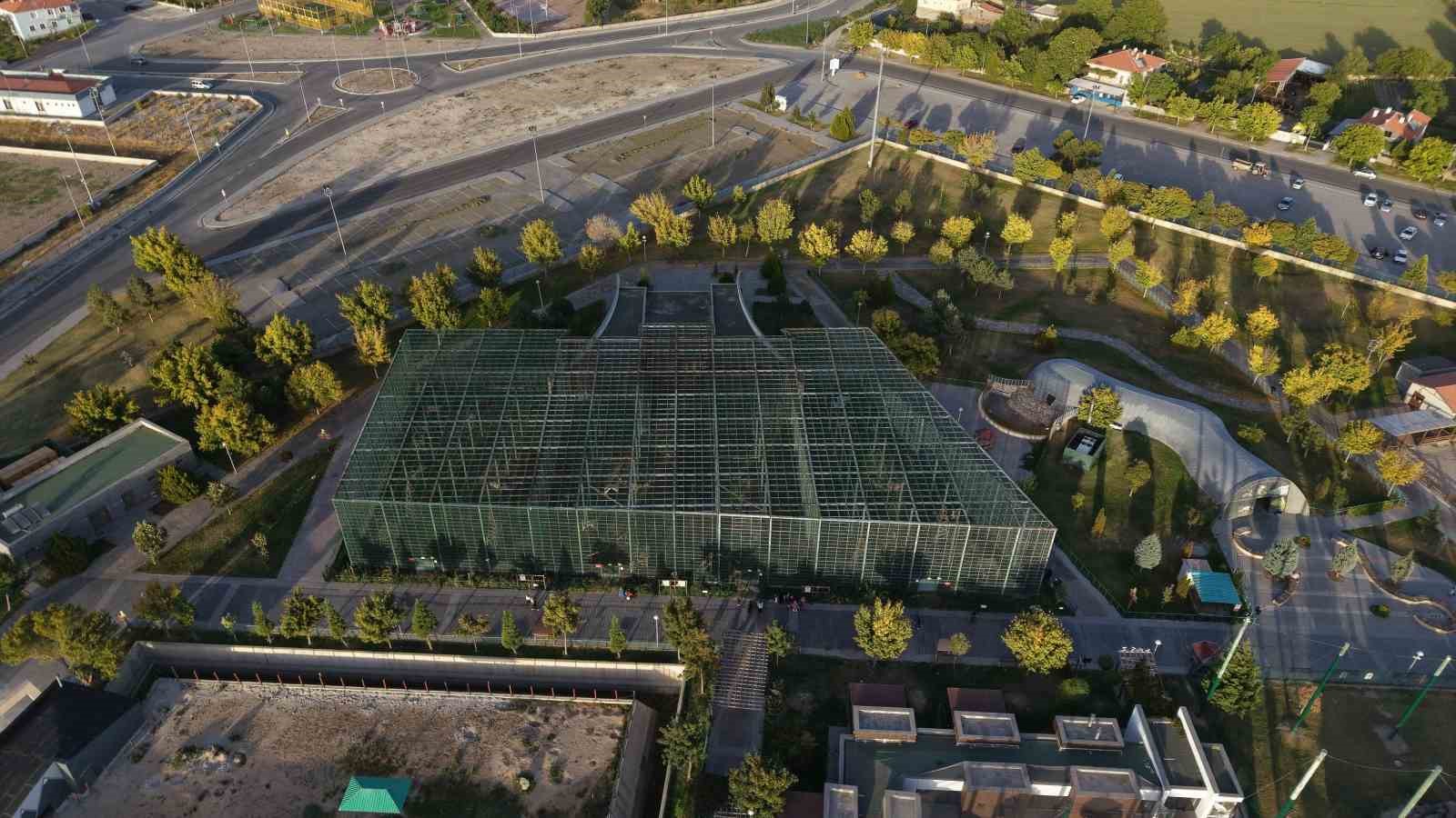 &Uuml;cretsiz olan hayvanat bah&ccedil;esine ziyaret&ccedil;i akını
