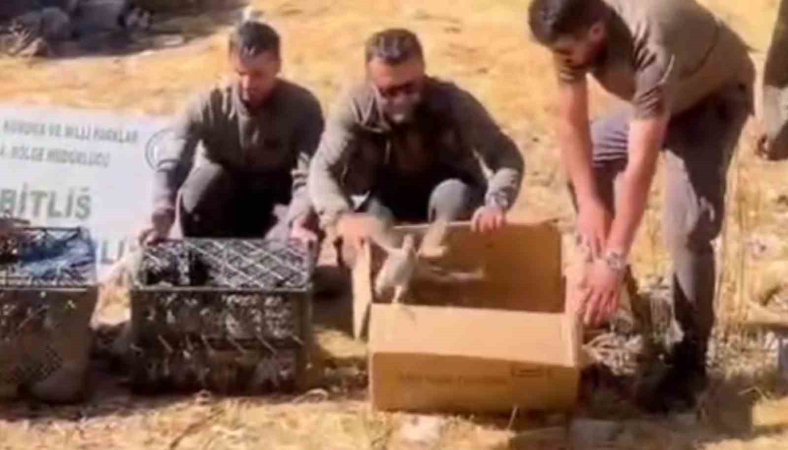 Bitlis’te Keklik ticaretine geçit verilmedi