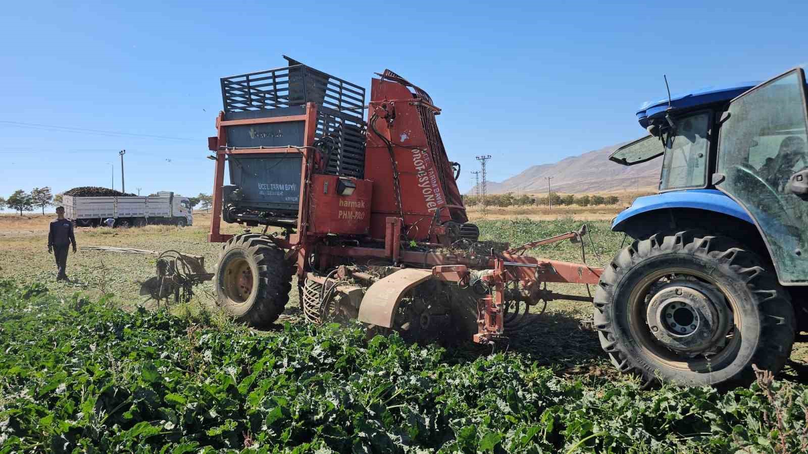 Tarımın kalbi Adilcevaz’da pancar sökümüne başlandı